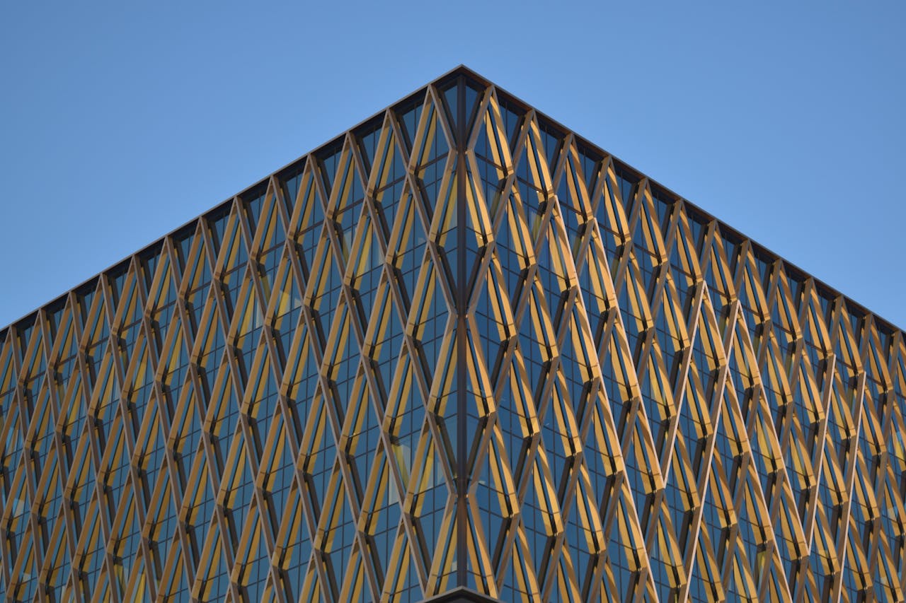 About pexels-photo-35528868.jpeg